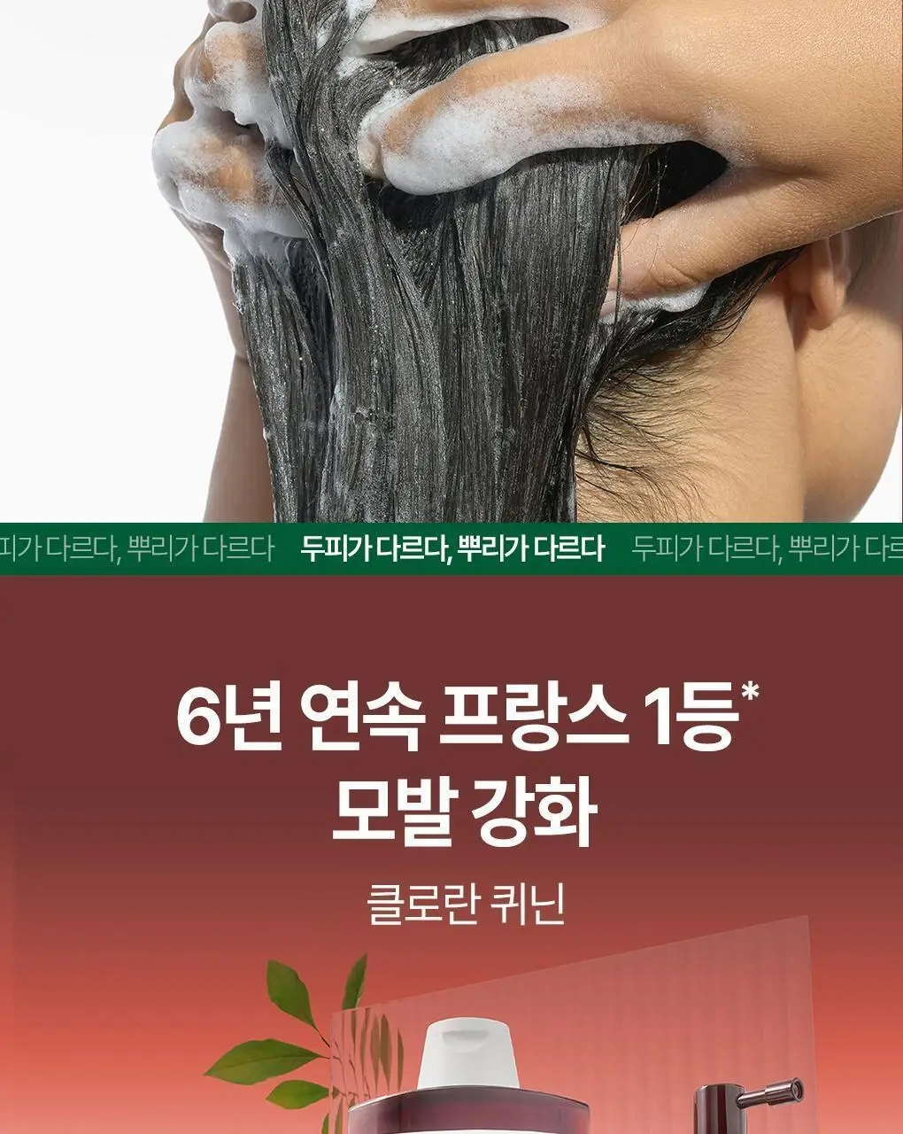 [두피활력 & 모발강화] 클로란 퀴닌 에델바이스 샴푸 더블 기획 (400ml 2입기획) 상세페이지 22